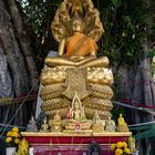 Buddha altar in Wat Chom Nang