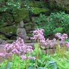 Buddha am Brunnen