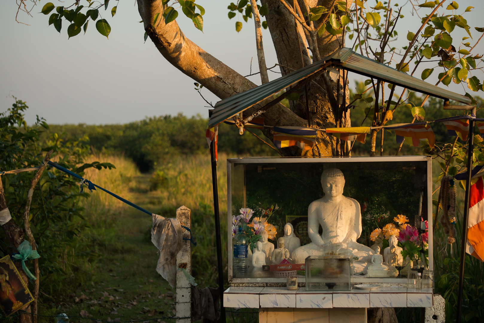 buddha am Feldweg