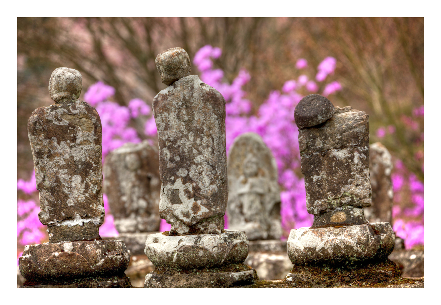 Buddha and flowers