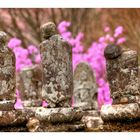 Buddha and flowers