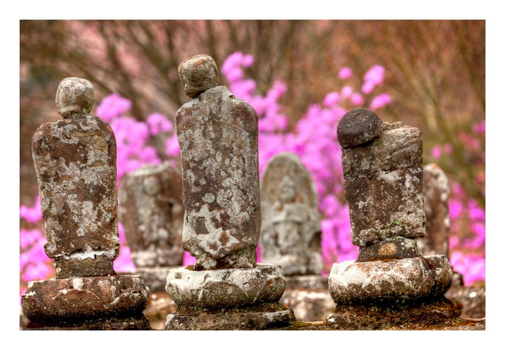 Buddha and flowers