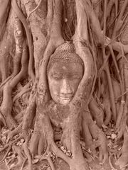 Buddha art in Ayutthaya