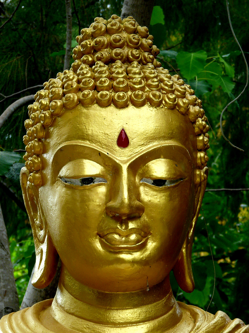 Buddha auf Kho Samui 