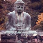 Buddha aus Kamakura