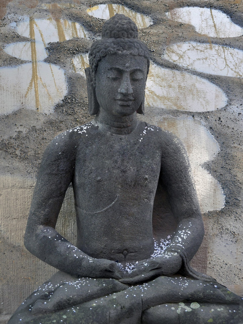 Buddha