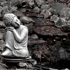 buddha bei die fisch 