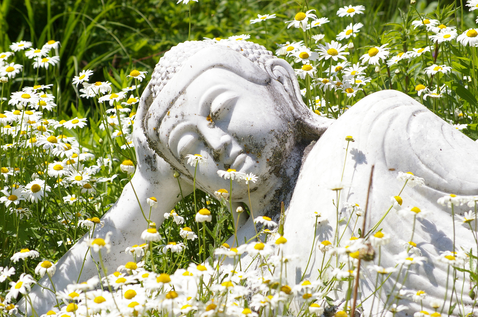 Buddha beim Baden