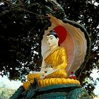 Buddha beschützt vom Naga-König