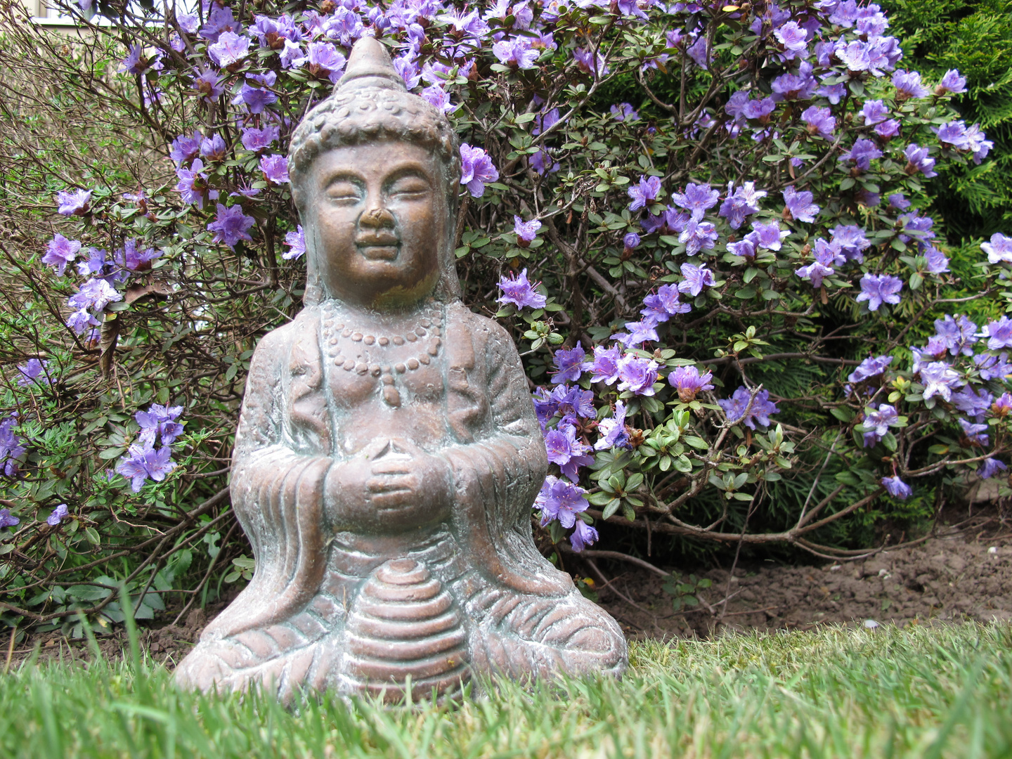 BUDDHA