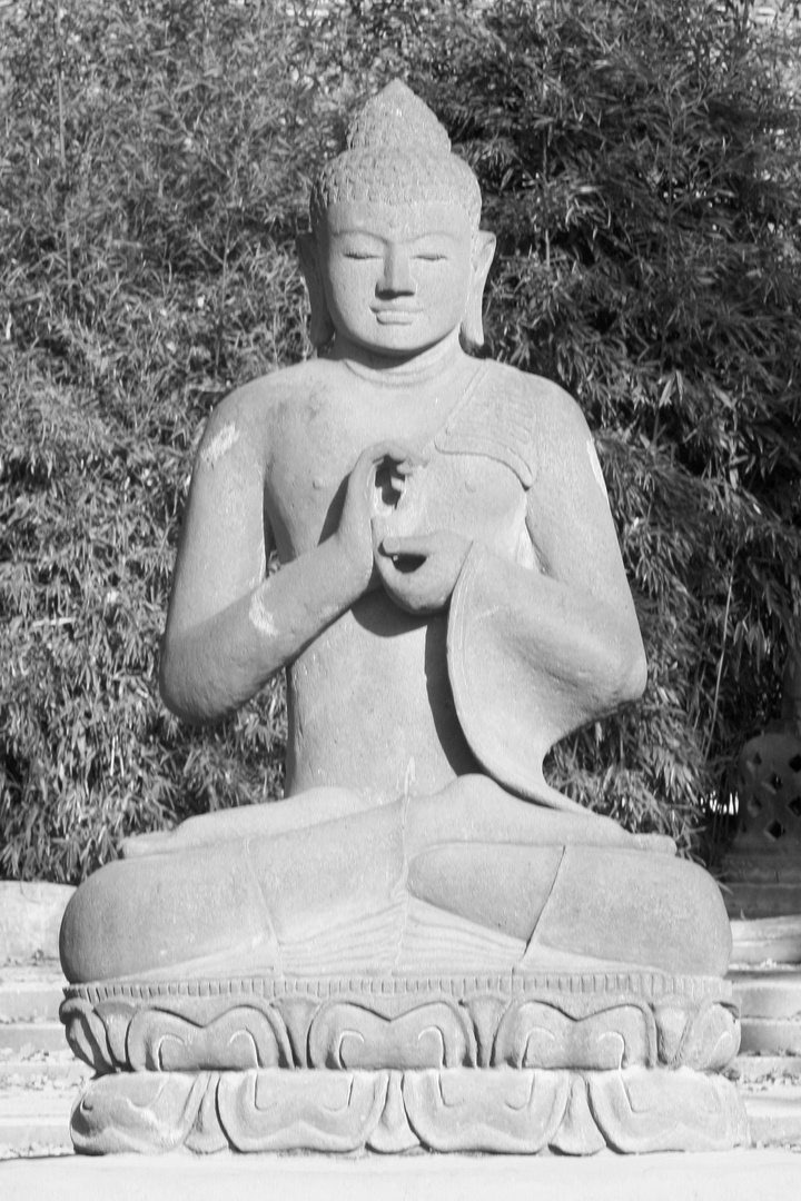 Buddha