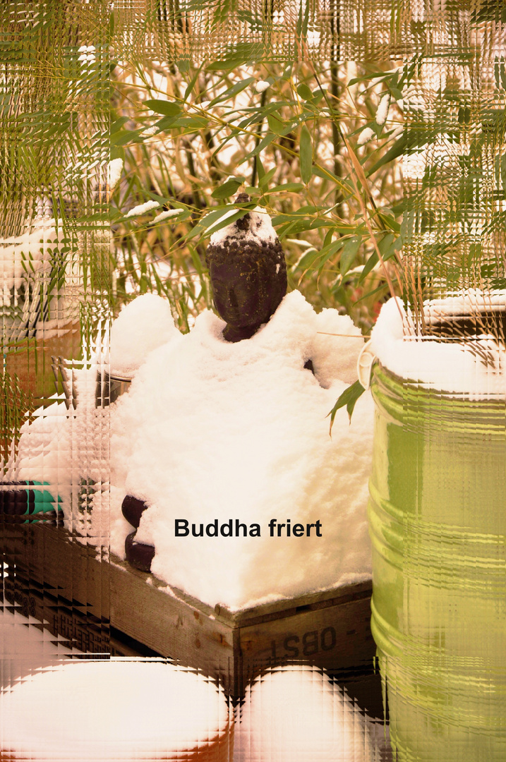 Buddha friert....