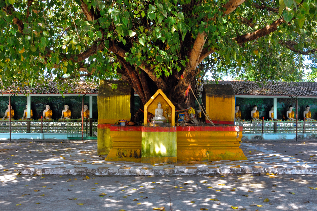 Buddha galerie Wat Thai Watthanaram in Mae Sot