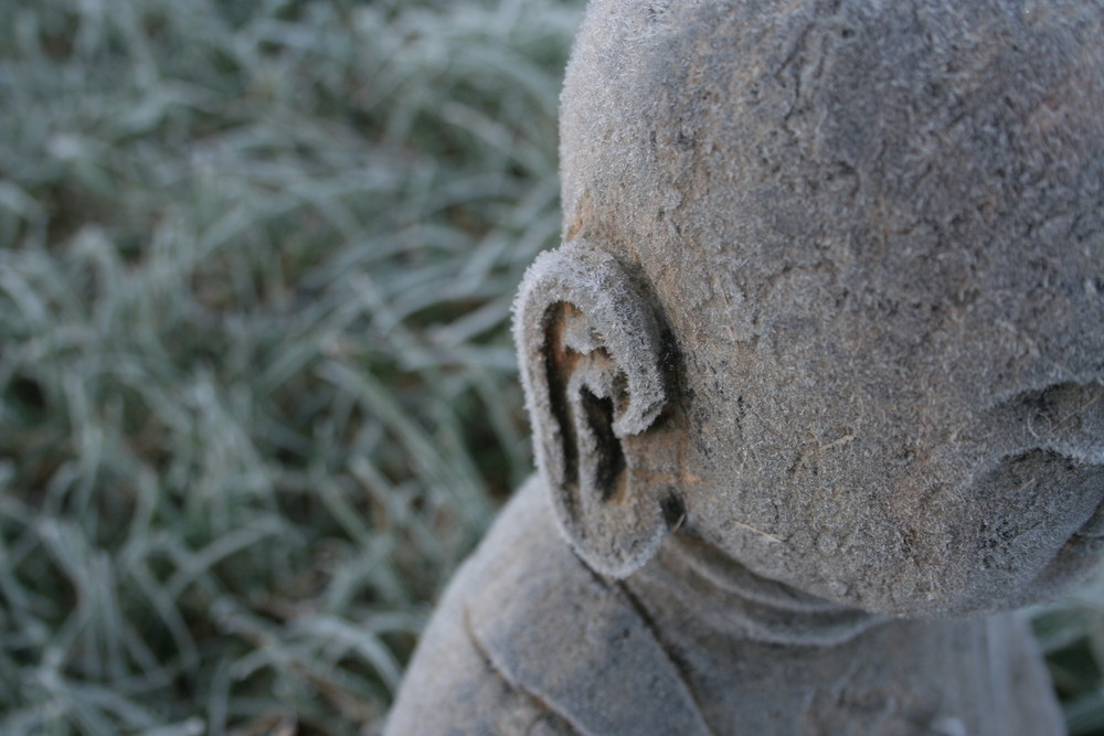 Buddha hat ein kaltes Ohr