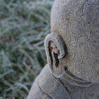 Buddha hat ein kaltes Ohr