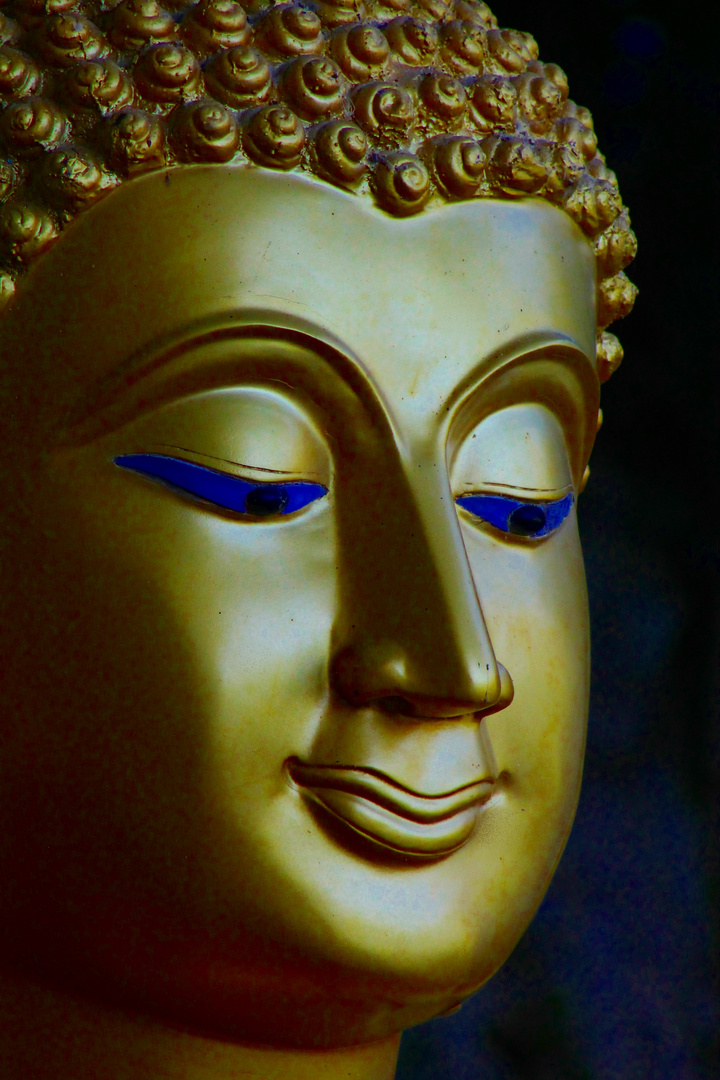 Buddha hautnah