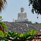 Buddha hoch auf dem Felsen