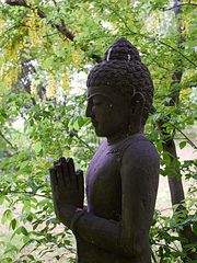Buddha im Essener Regenwald
