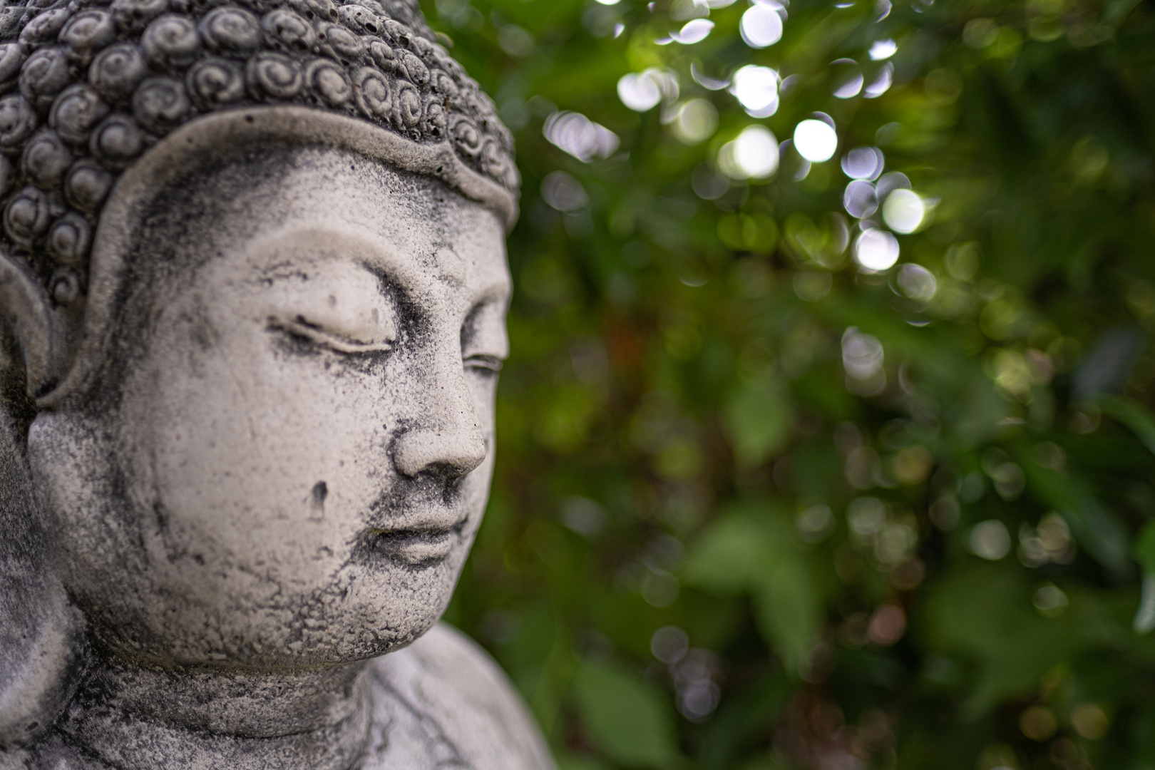 Buddha im Garten Foto & Bild stillleben, pflanzen, pilze & flechten