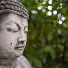 Buddha im Garten