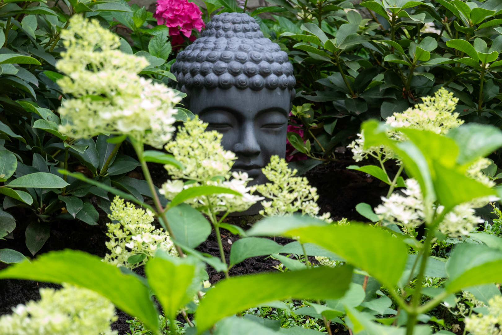 Buddha im Garten 