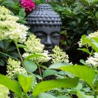 Buddha im Garten 