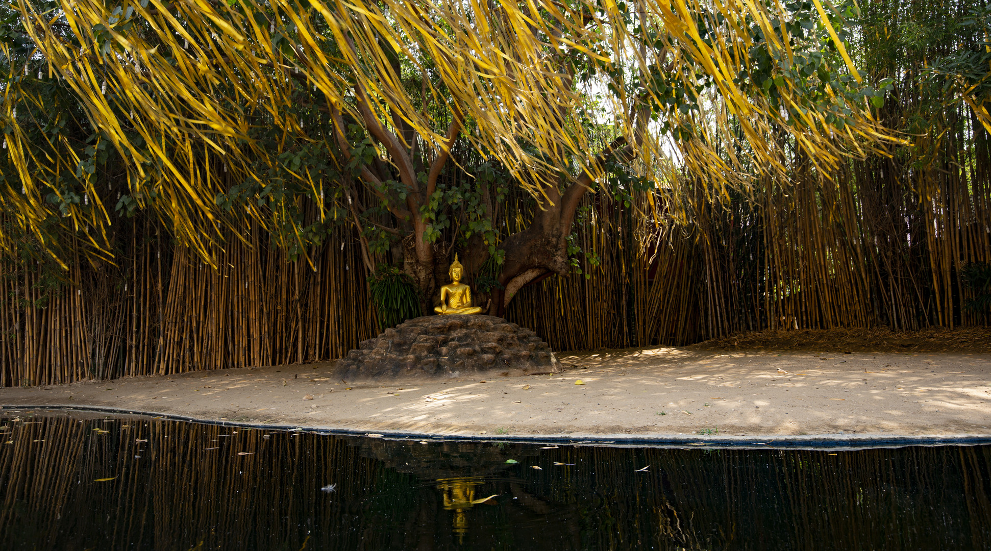 Buddha im Garten des Wat Phan Tao