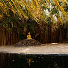 Buddha im Garten des Wat Phan Tao