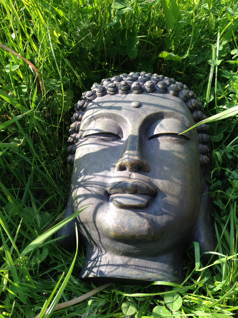 Buddha im Gras