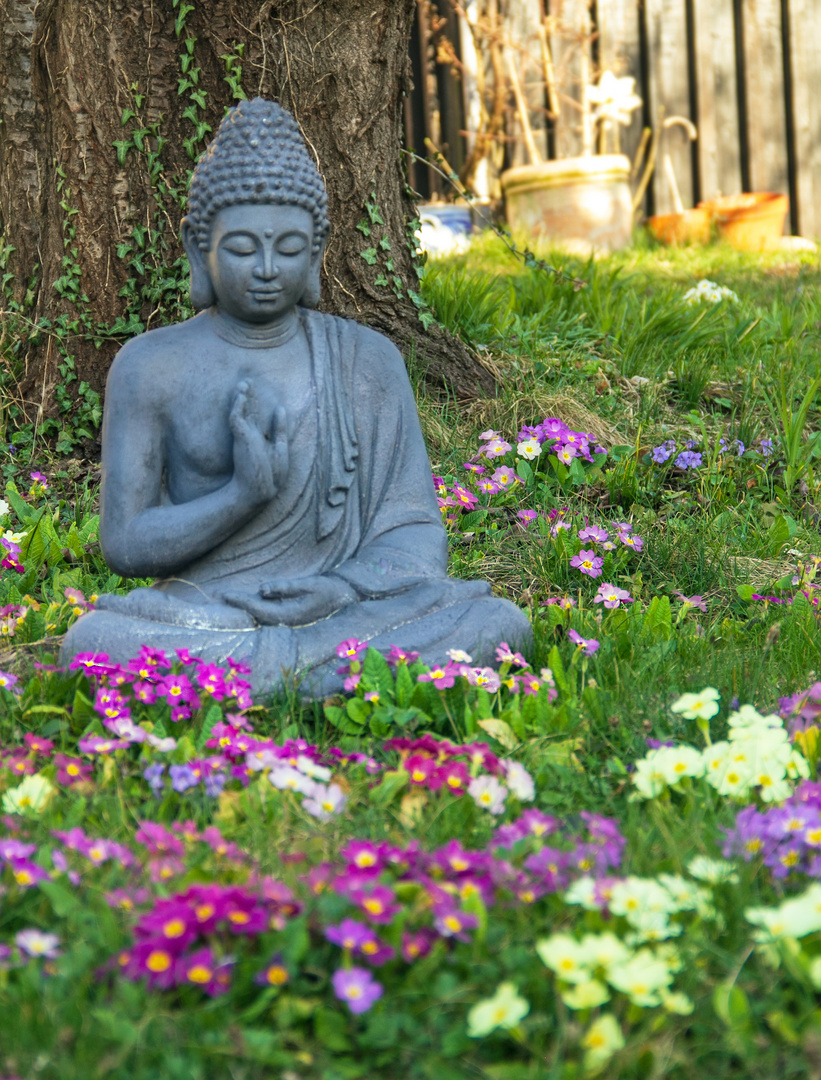  Buddha im Grünen