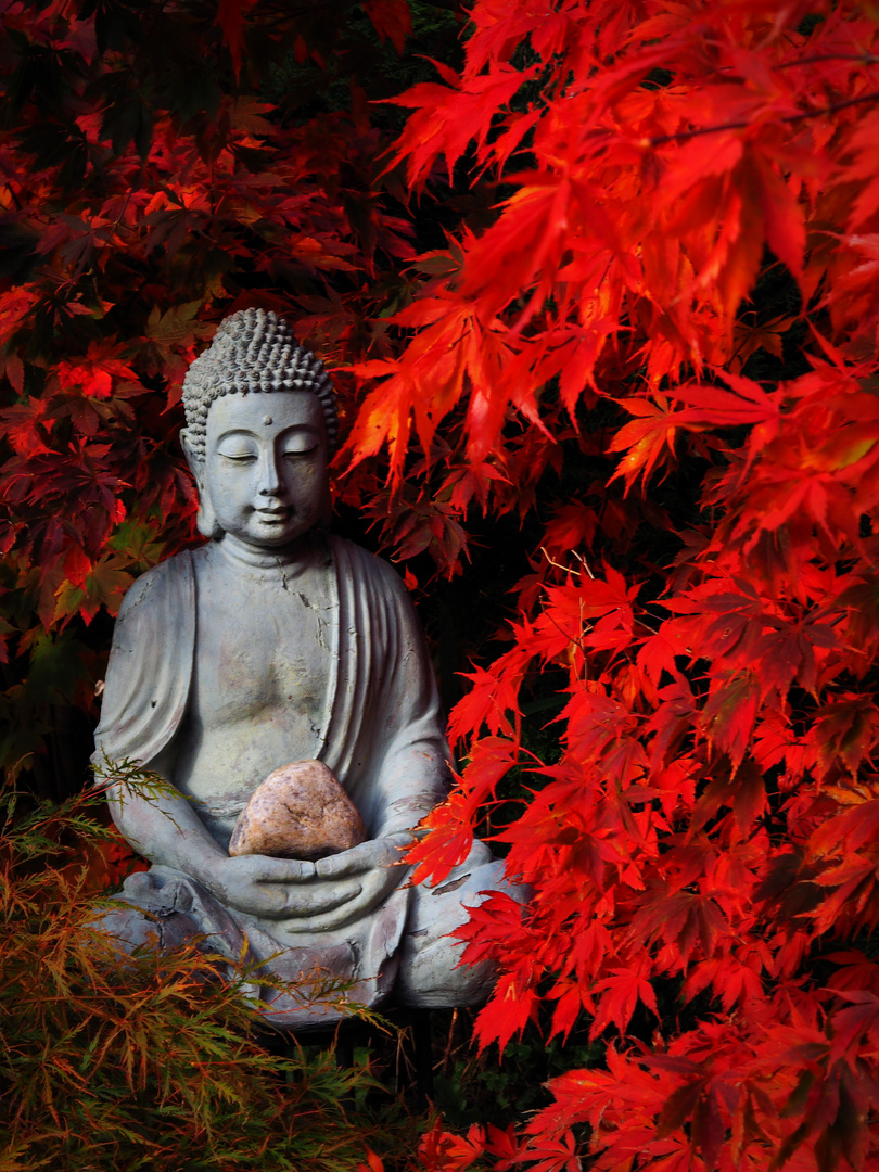 Buddha Im Herbst