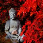 Buddha Im Herbst