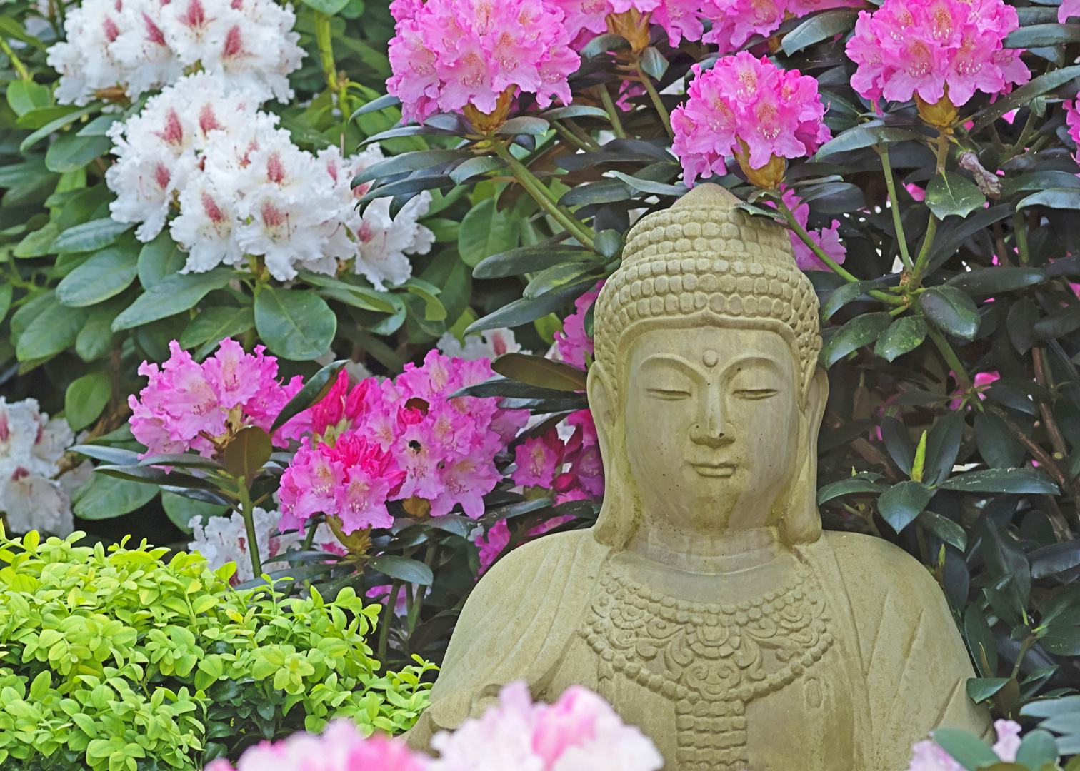 Buddha im Rhododendrongarten