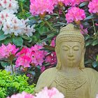 Buddha im Rhododendrongarten