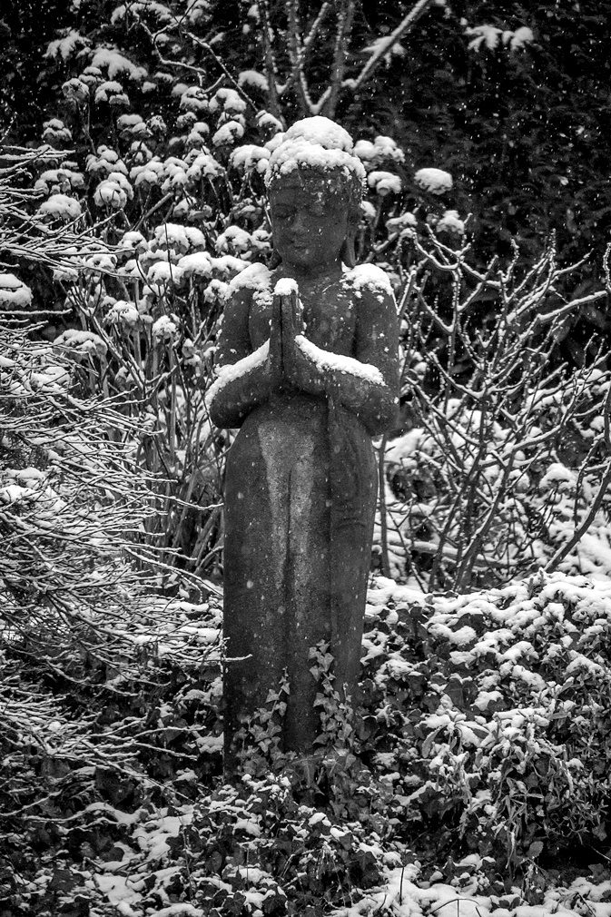 Buddha im Schnee