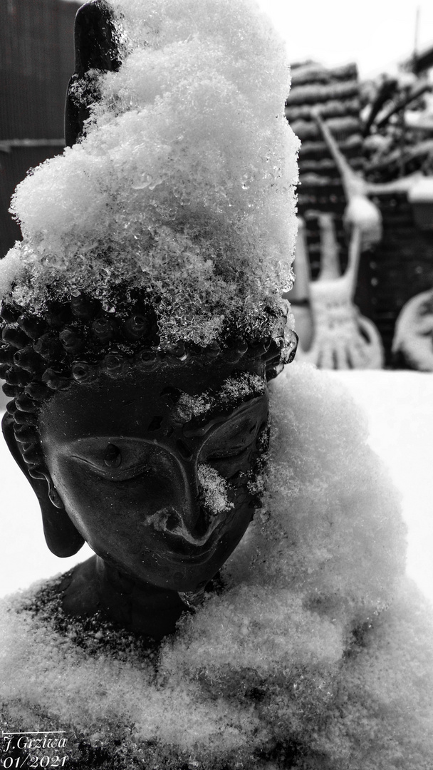 Buddha im Schnee