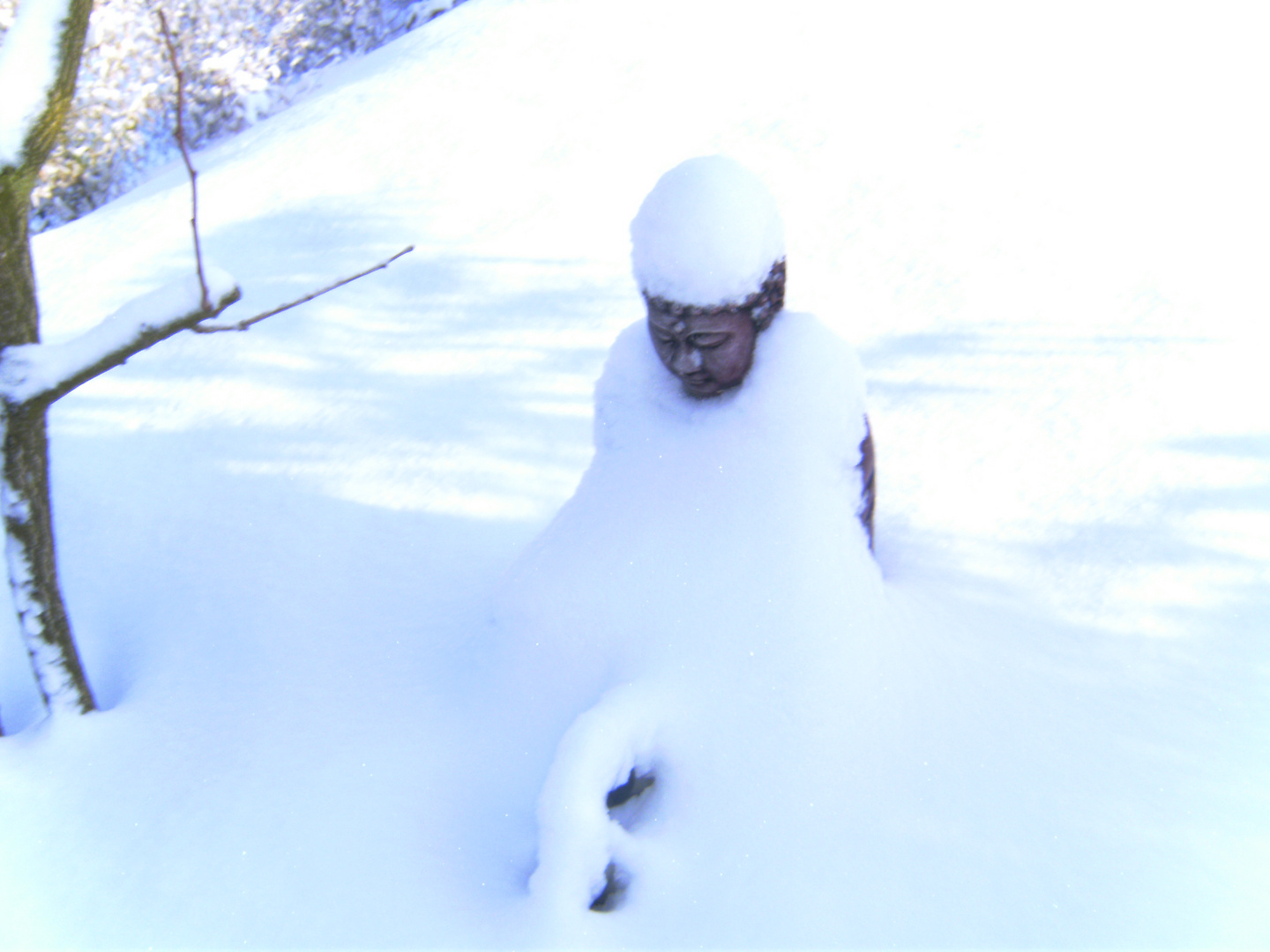 Buddha im Schnee