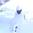 Buddha im Schnee