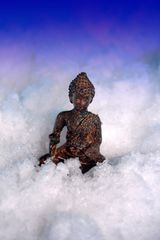 Buddha im Schnee