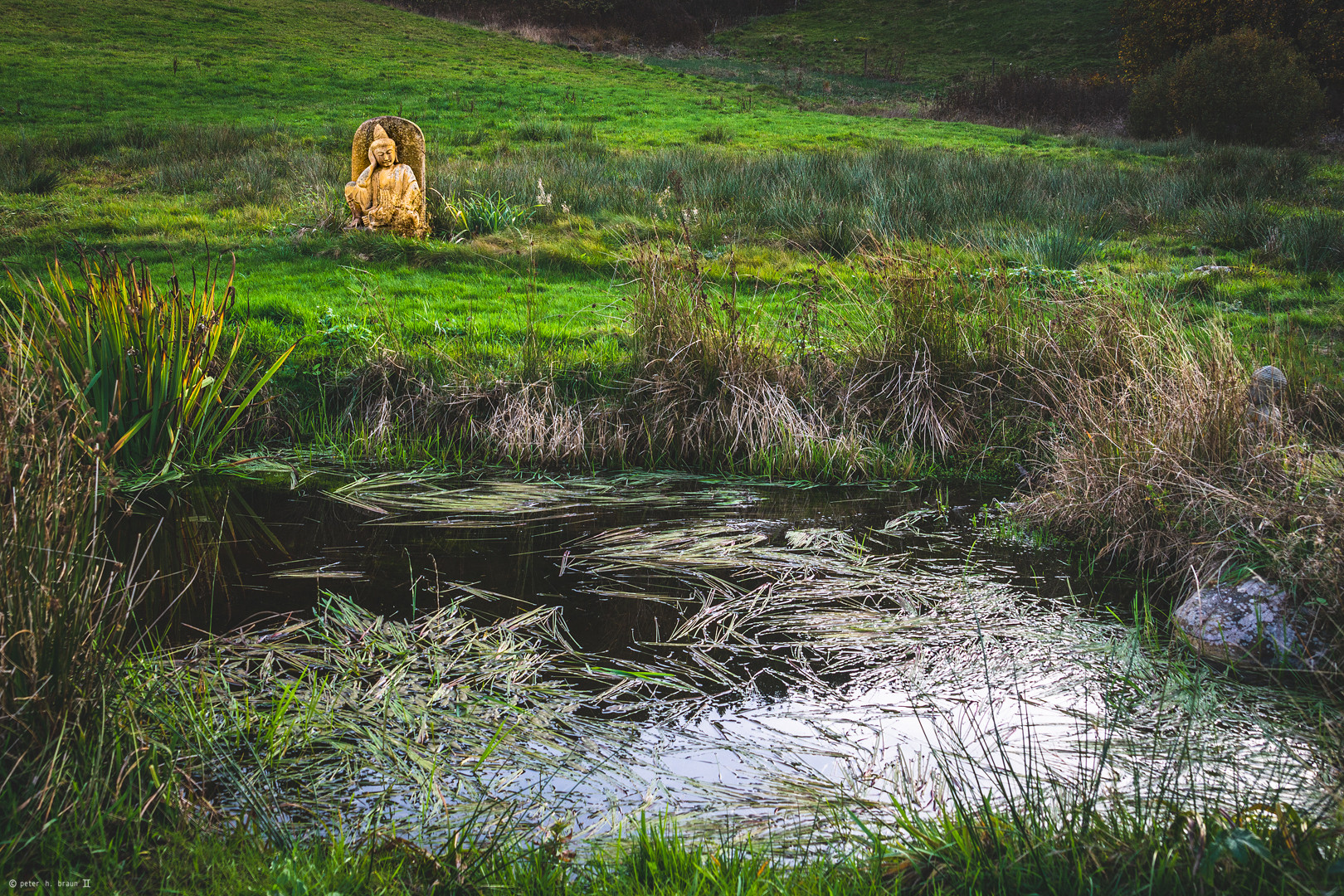 Buddha im Schwarzwald