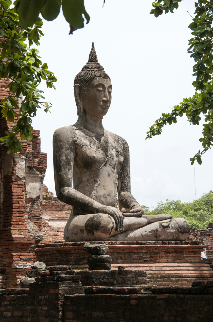 Buddha im Wat Mahathat Ayutthaya