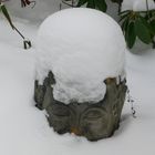 Buddha im Winterschlaf