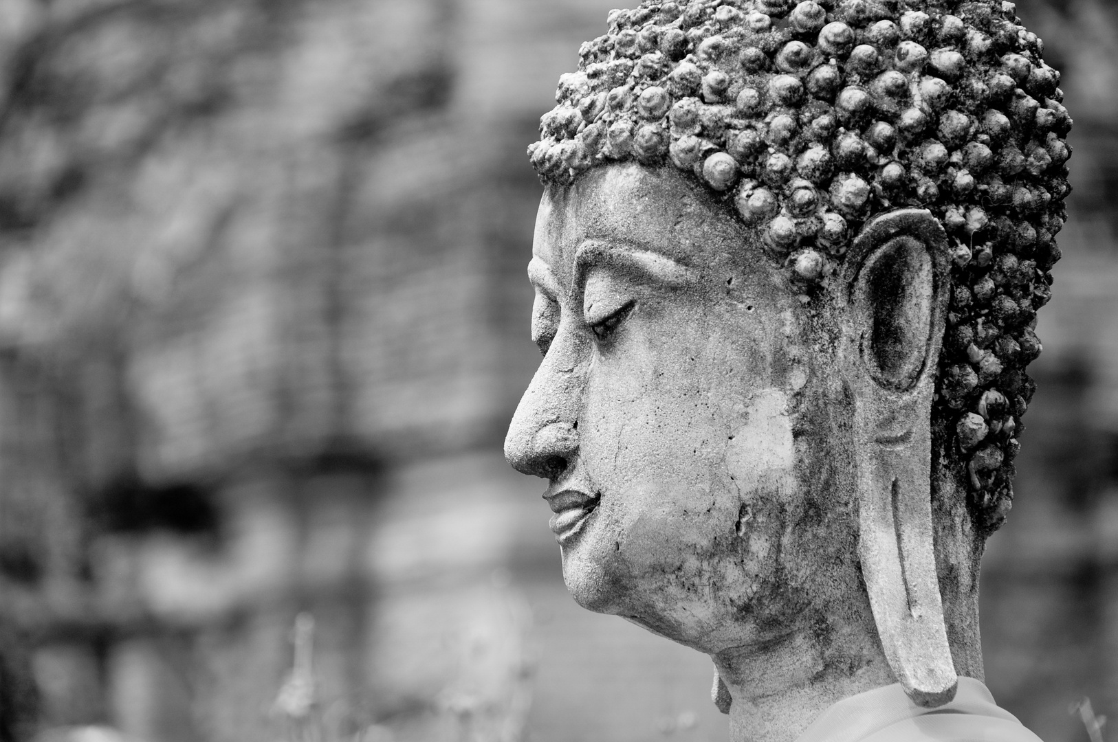 Buddha in Ayutthaya