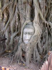 Buddha in Ayutthaya