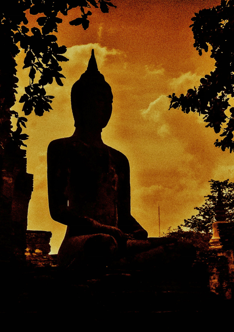 Buddha in Ayutthaya