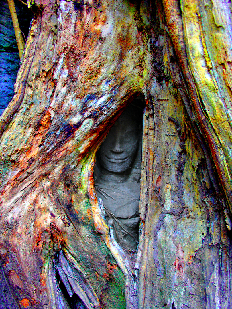 Buddha in Baum