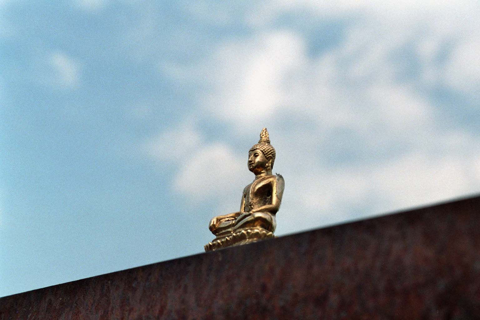 Buddha in Berlin