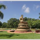 Buddha in Colombo