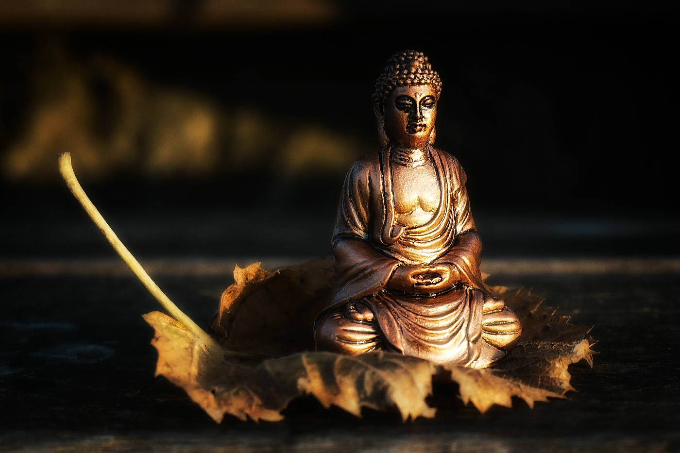 Buddha in der Novembersonne