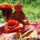 Buddha in meinem Garten